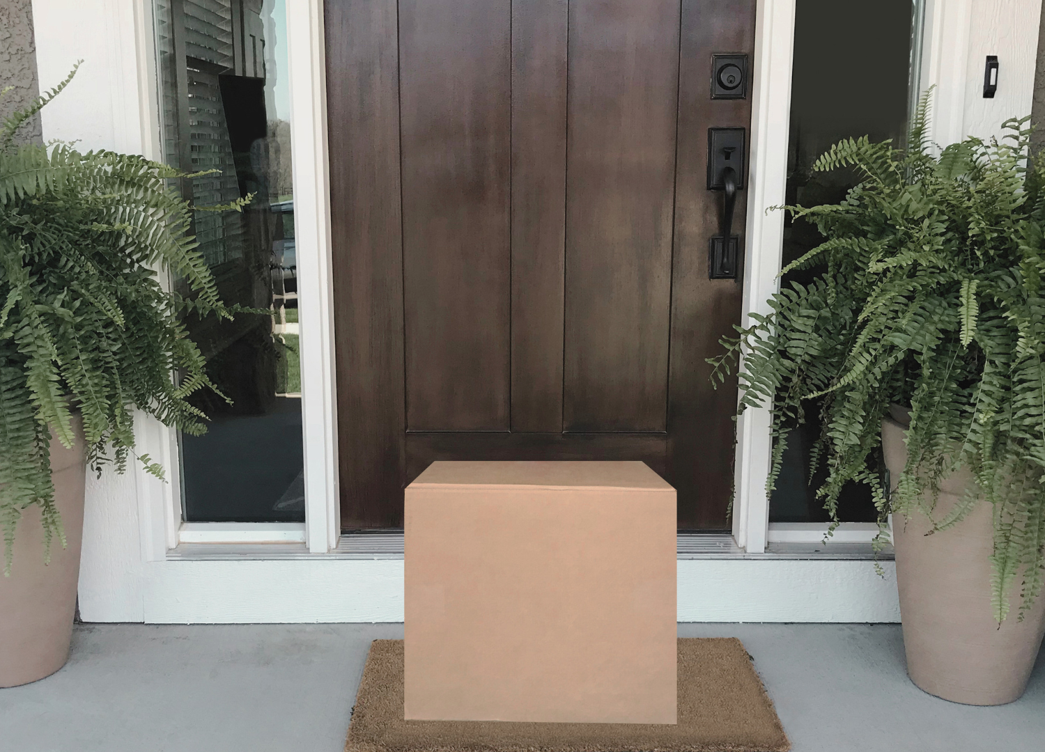 overnight delivery